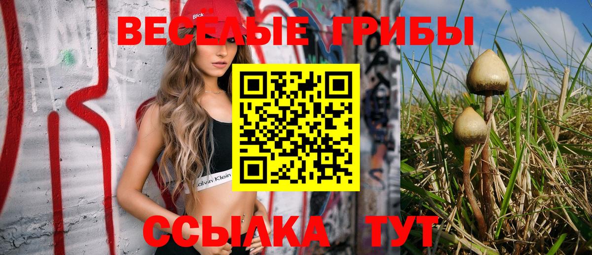 Галлюциногенные грибы мухоморы Карасук